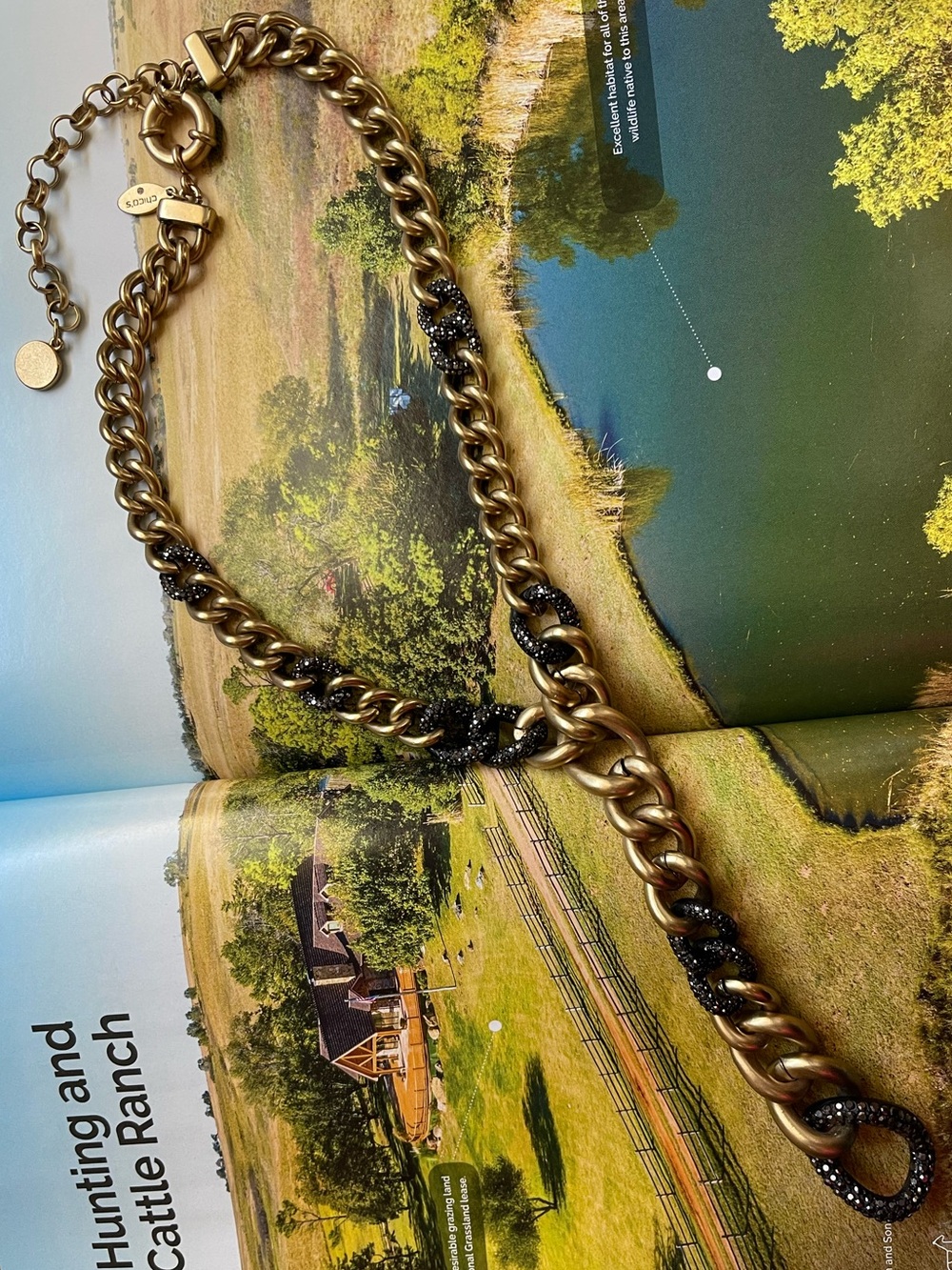 Chico’s Gold Chain Necklace with Black Pavé Accents